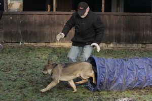 kliknutím zvětšit fotografii fotky ZKO