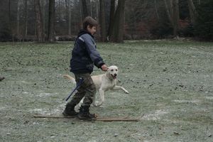kliknutím zvětšit fotografii fotky ZKO