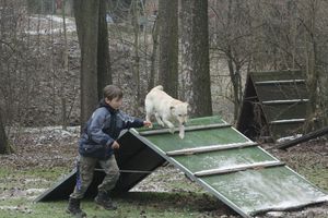 kliknutím zvětšit fotografii fotky ZKO