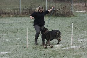 kliknutím zvětšit fotografii fotky ZKO