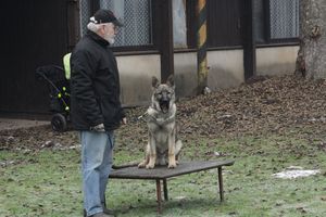 kliknutím zvětšit fotografii fotky ZKO