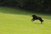 kliknutím zvětšit fotografii fotky ZKO