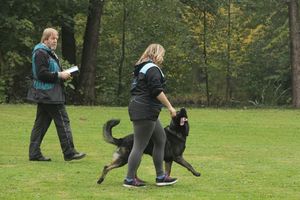 kliknutím zvětšit fotografii fotky ZKO