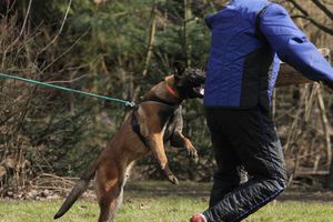 kliknutím zvětšit fotografii fotky ZKO