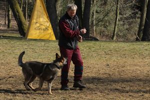 kliknutím zvětšit fotografii fotky ZKO