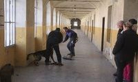 kliknutím zvětšit fotografii fotky ZKO
