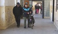 kliknutím zvětšit fotografii fotky ZKO