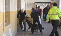 kliknutím zvětšit fotografii fotky ZKO