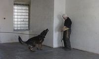 kliknutím zvětšit fotografii fotky ZKO