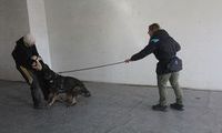 kliknutím zvětšit fotografii fotky ZKO