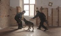 kliknutím zvětšit fotografii fotky ZKO