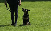kliknutím zvětšit fotografii fotky ZKO