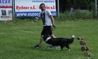 kliknutím zvětšit fotografii fotky ZKO