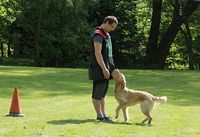 kliknutím zvětšit fotografii fotky ZKO