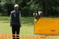 kliknutím zvětšit fotografii fotky ZKO