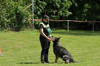 kliknutím zvětšit fotografii fotky ZKO