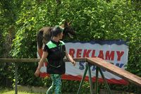 kliknutím zvětšit fotografii fotky ZKO