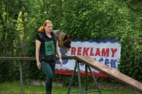 kliknutím zvětšit fotografii fotky ZKO
