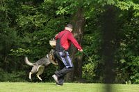 kliknutím zvětšit fotografii fotky ZKO