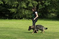 kliknutím zvětšit fotografii fotky ZKO