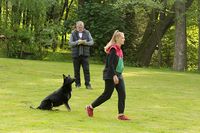 kliknutím zvětšit fotografii fotky ZKO